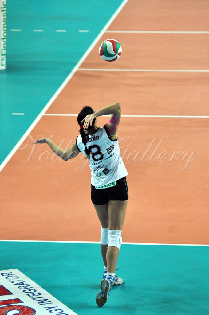 Asystel NO Villa Cortese (15)